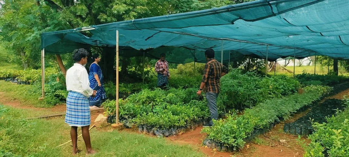 Seedball Restoration Drive