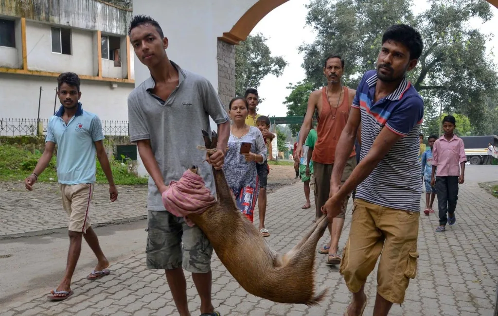 Local villagers and rescue volunteers carefully carrying a displaced wild deer to safety past flooded road corridors.