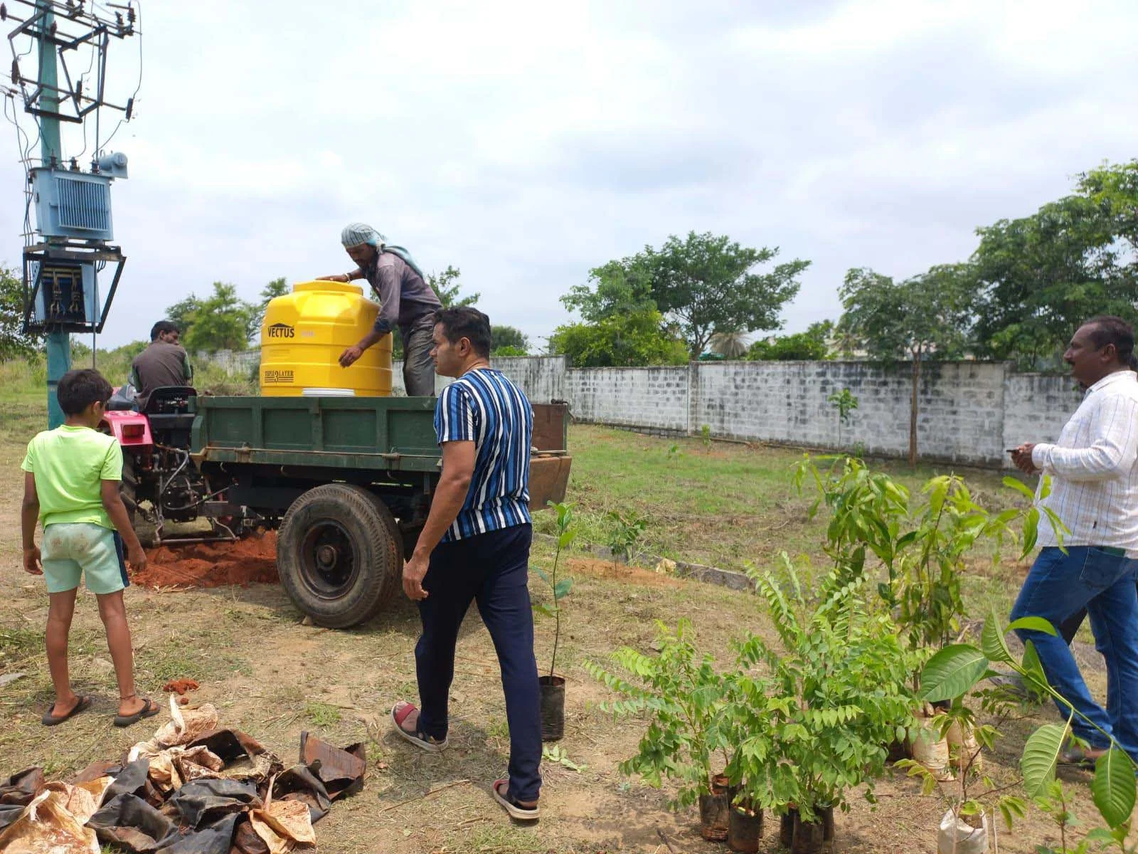 Seedling Preparation