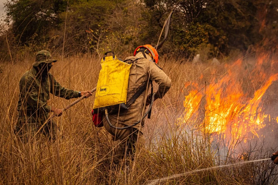 Forest Fire Prevention & Rapid Response