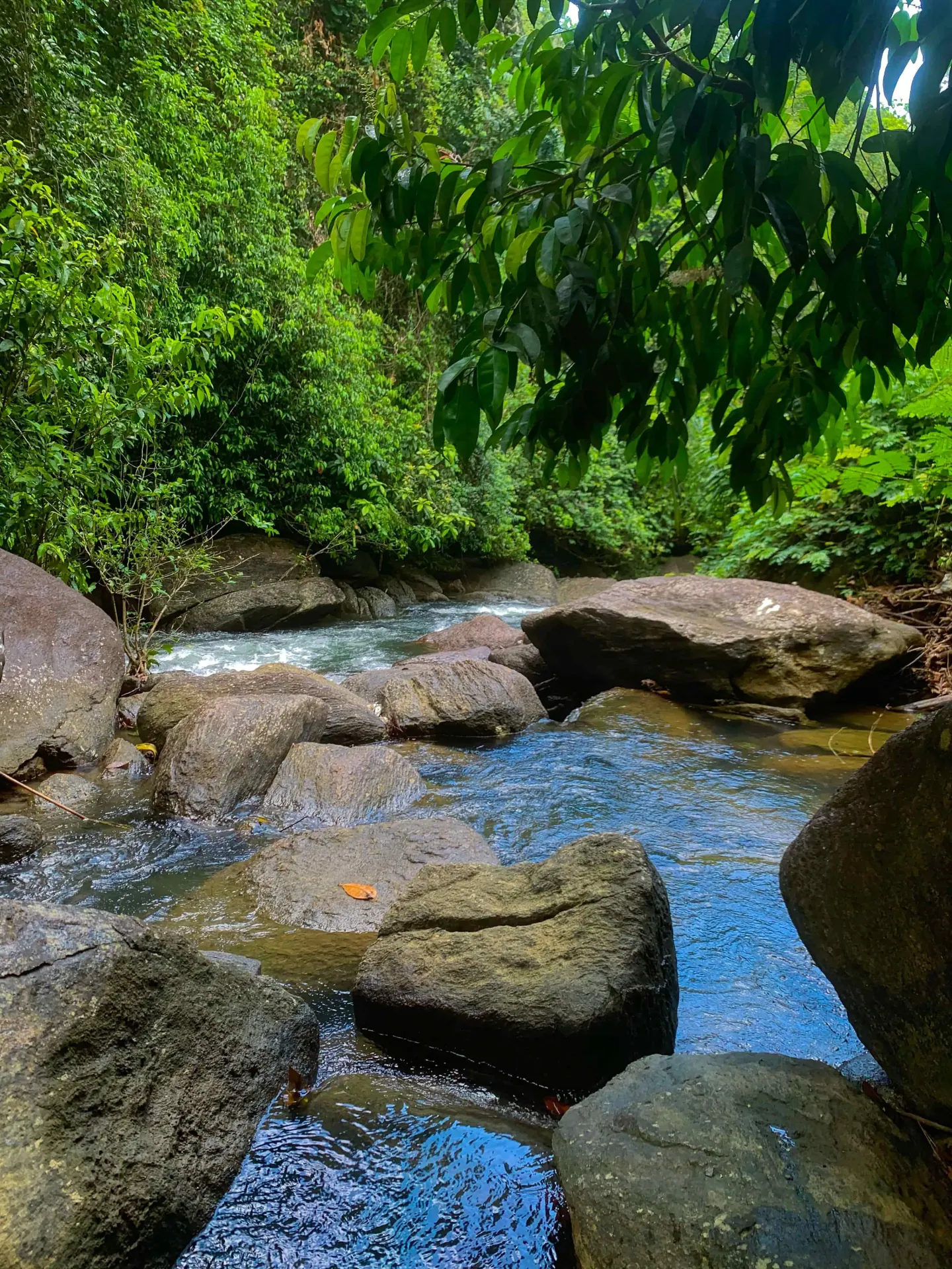 Environmental challenge environment