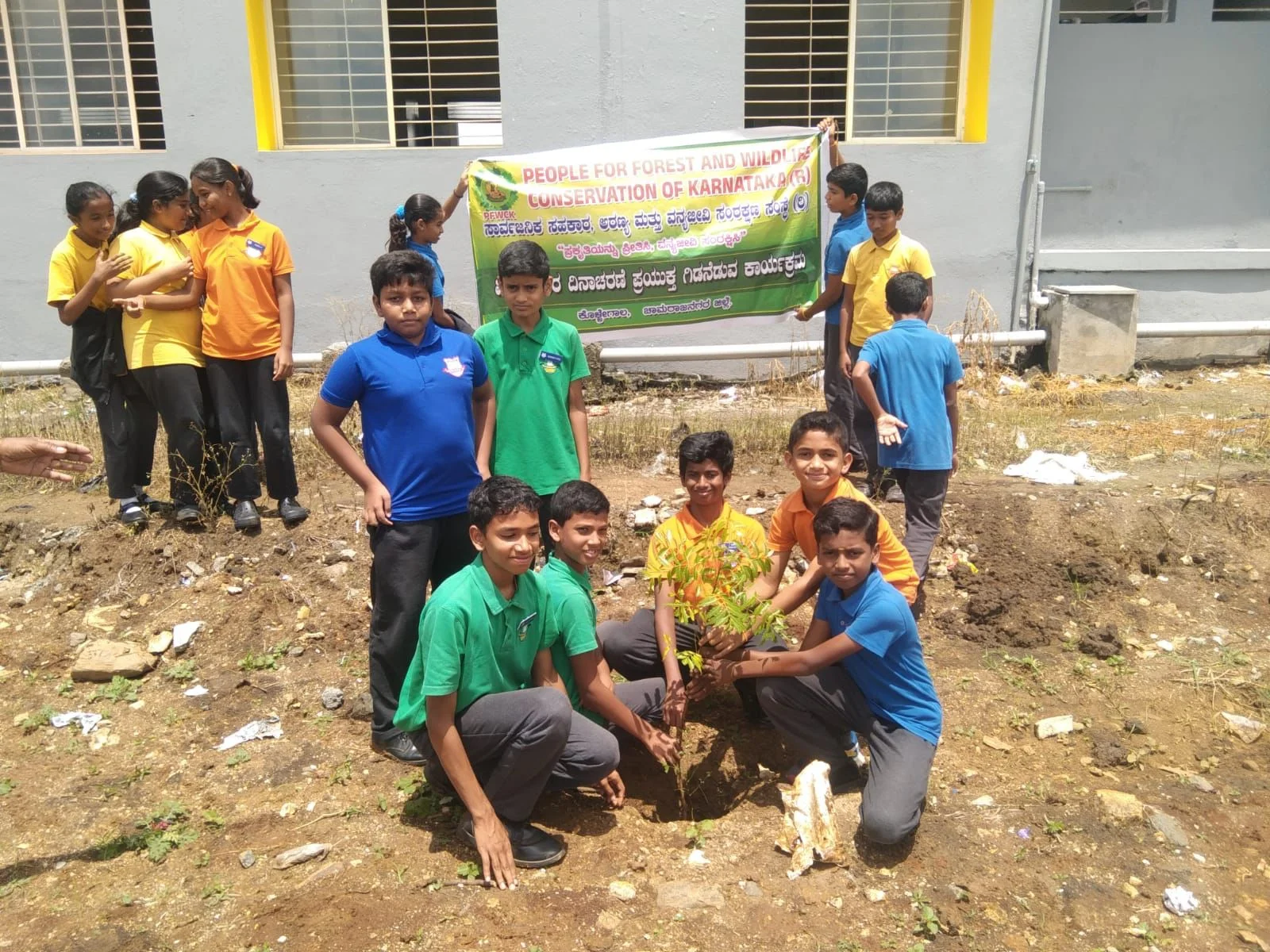 Compounded Homes Reforestation