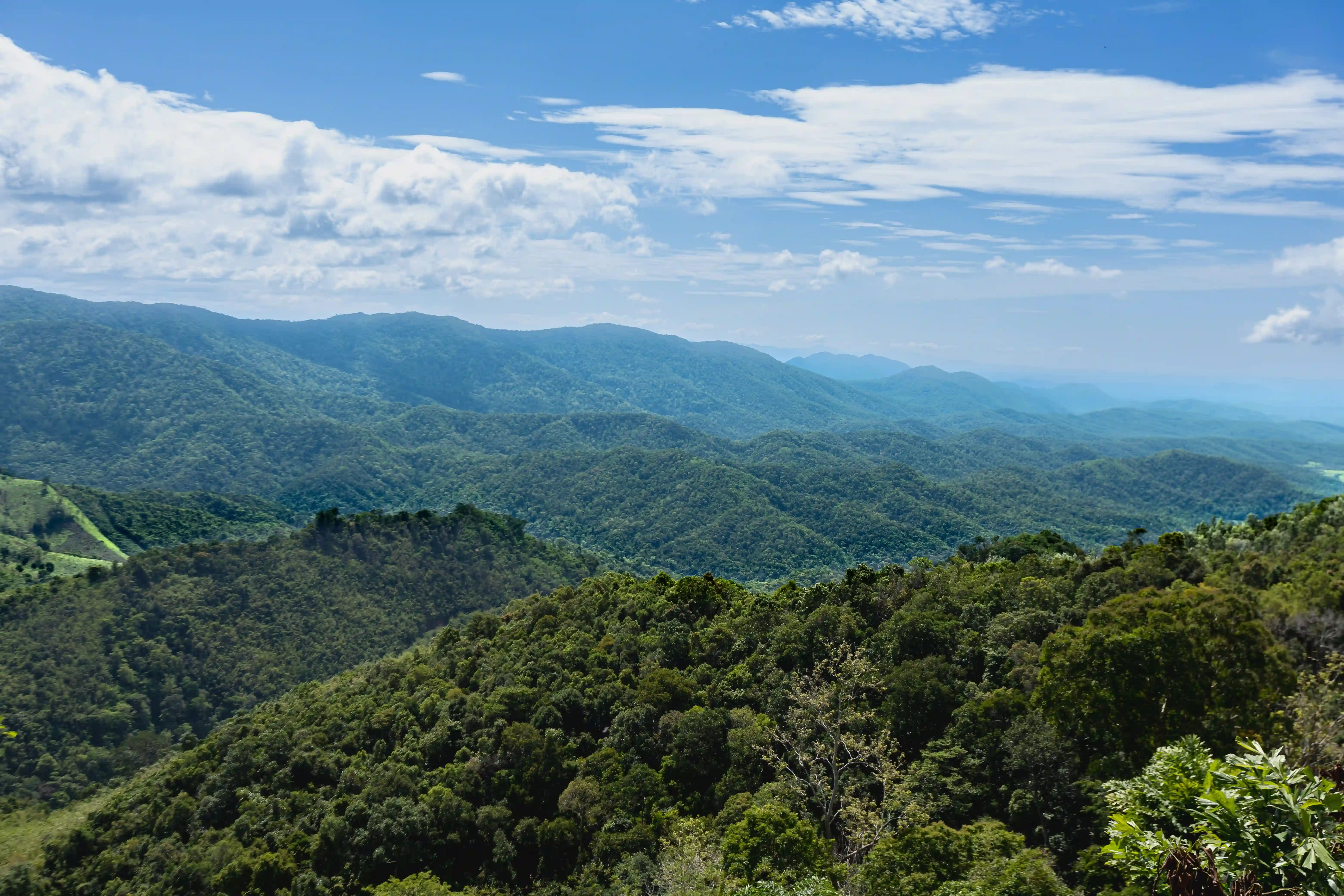 Western Ghats Rewilding