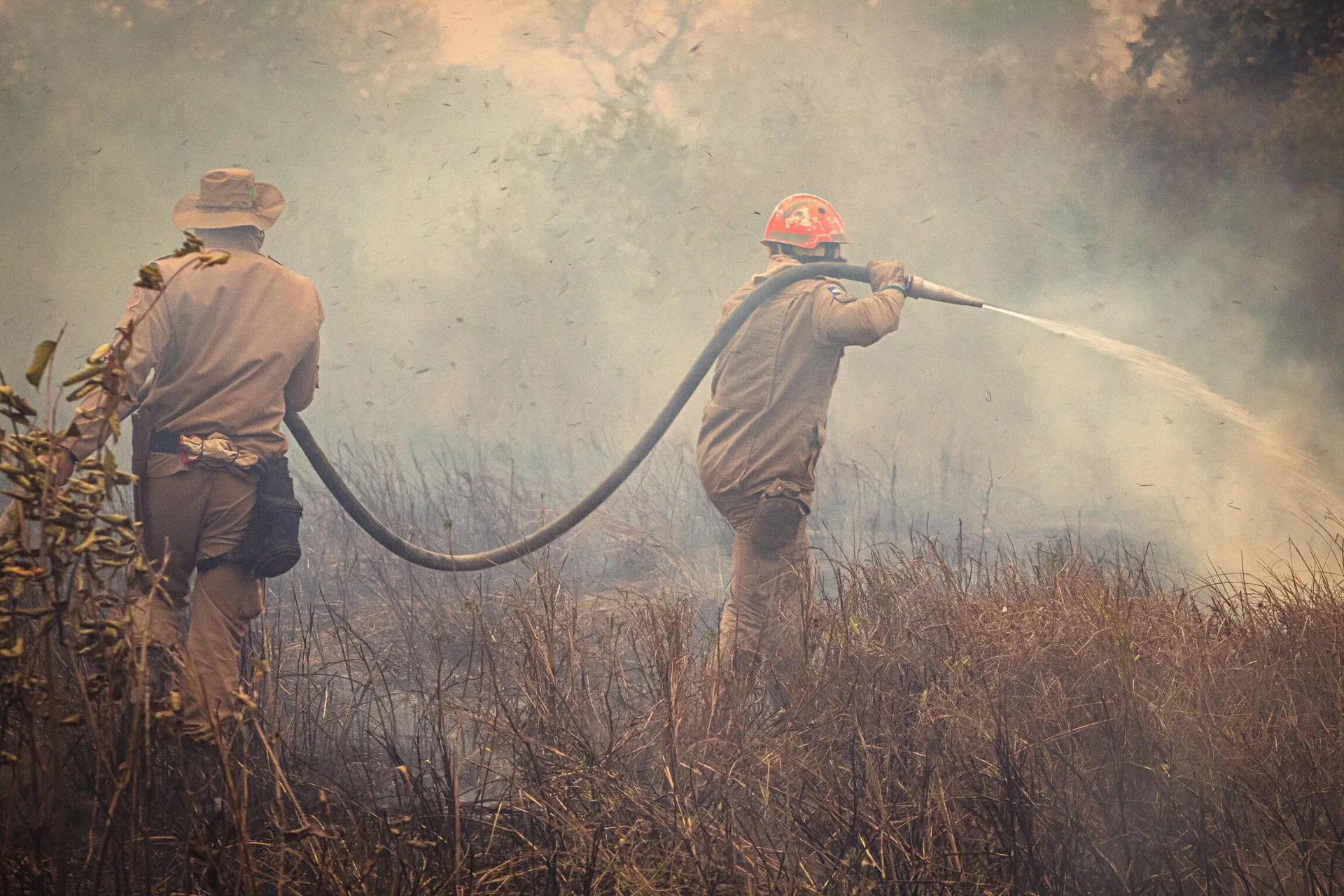Himalayan Wildfire Prevention Program