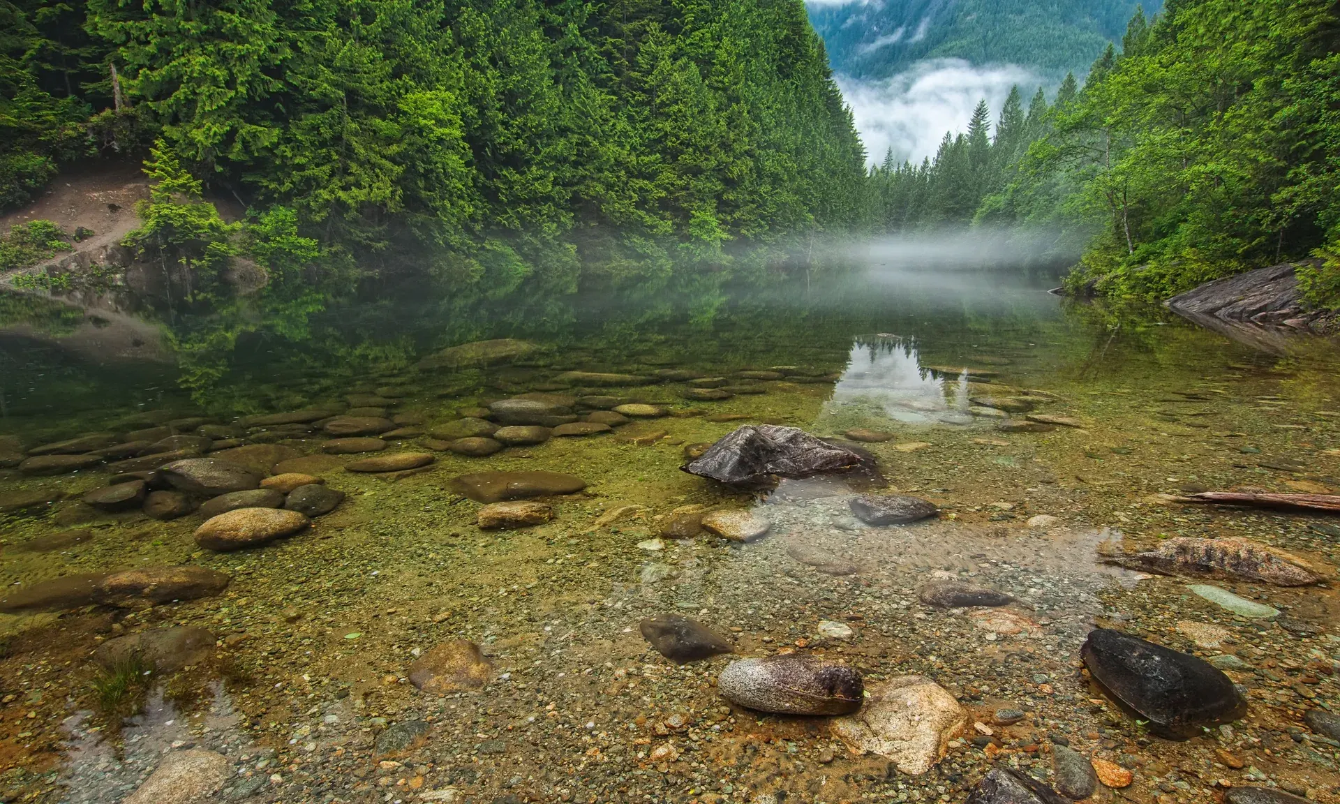 Forest Water Hole Re-Engineering